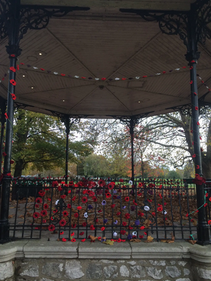 Poppies on the Mill Meadows Bandstand