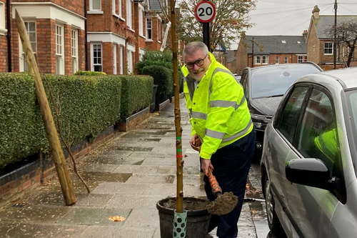 Mayor Dave planting a tree on Cornwall Road