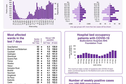 Coronavirus Snapshot 20211117