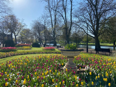 The Embankment in Bloom