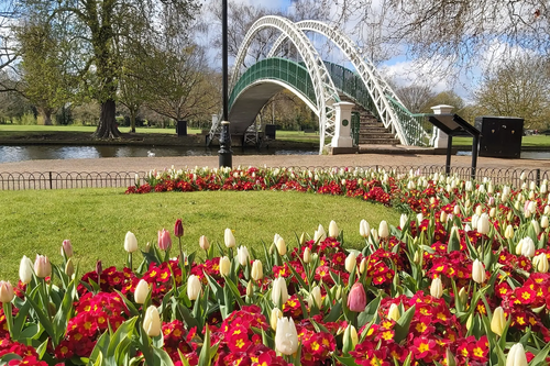 Flowers at The Embankment Spring 2021