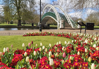 Flowers at The Embankment Spring 2021