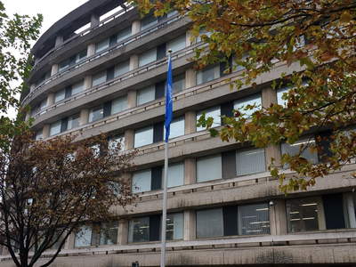 The UN flag flying at Borough Hall in Bedford