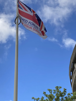 Armed Forces Day Flag