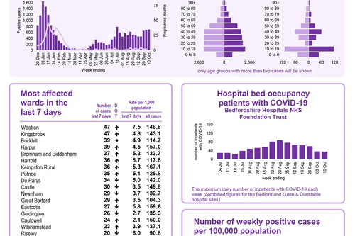 Coronavirus Snapshot 20211013