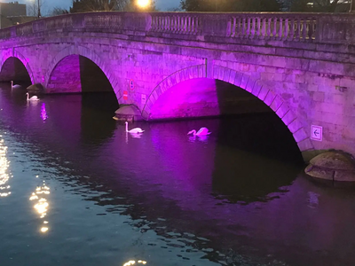 Bedford Town Bridge lit up purple for young carers action day