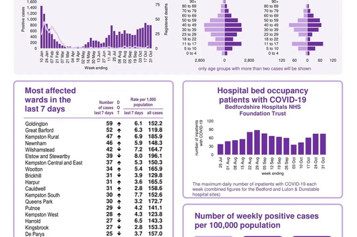 Coronavirus Snapshot 20211103