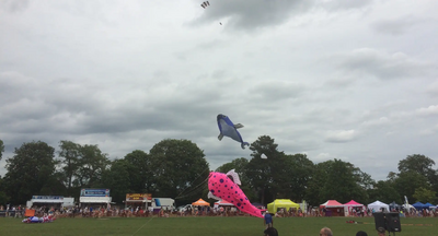 Bedford International Kite Festival