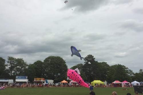 Bedford International Kite Festival