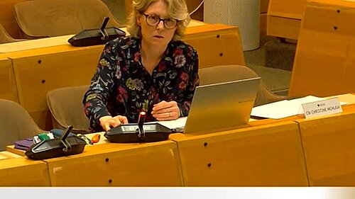 Christine McHugh at Budget Overview and Scrutiny committee