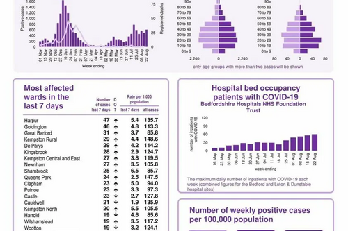 Coronavirus Snapshot 22 August 2021