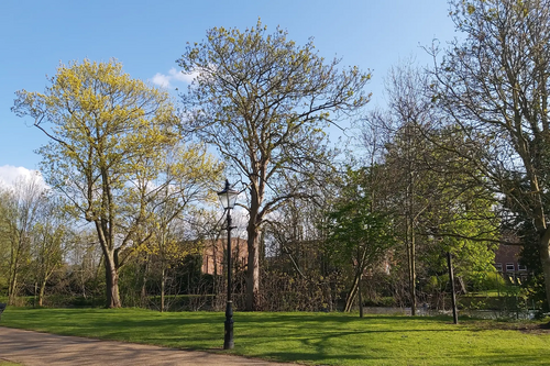 Mill Meadows Fitness area