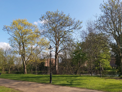 Mill Meadows Fitness area