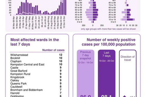 Bedford Borough coronavirus figures infographic published 29 October 2020