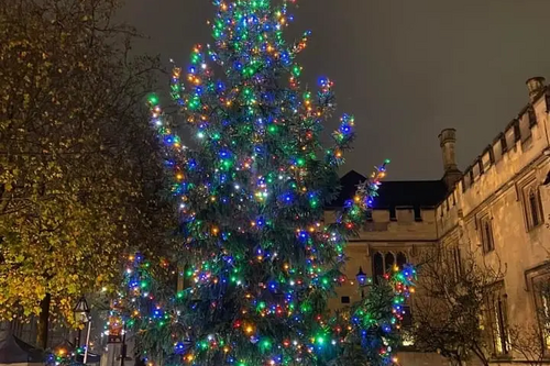 Harpur Square Christmas Tree - November 2022