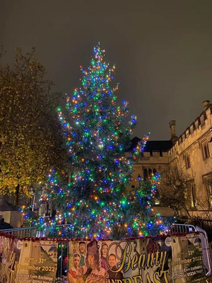 Harpur Square Christmas Tree - November 2022