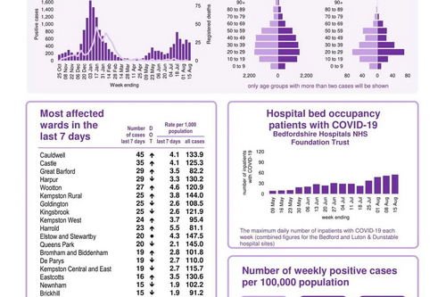 Coronavirus Snapshot 15 August 2021