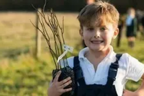 Woodland Trust Free Trees