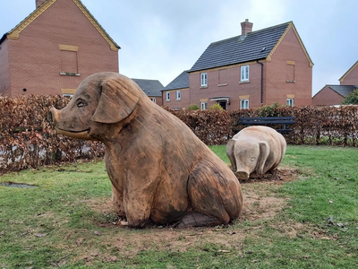 Wooden Pigs