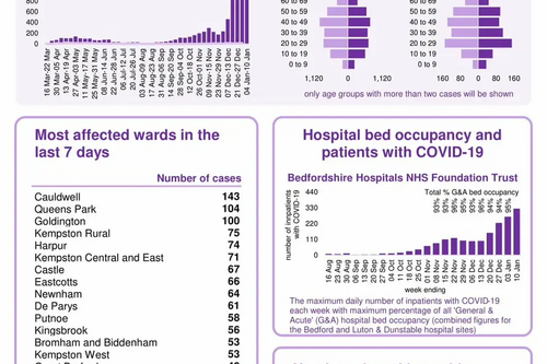 Coronavirus Snapshot week ending 10 January