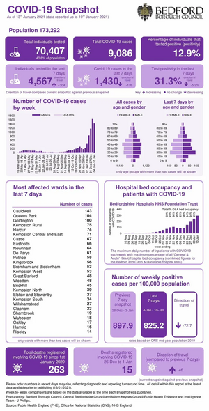 Coronavirus Snapshot week ending 10 January