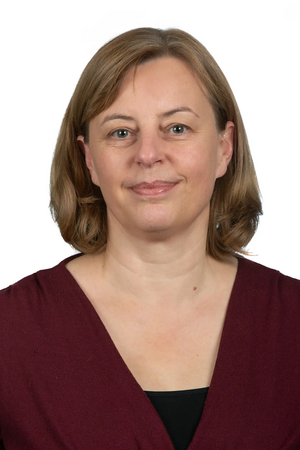 Cllr Hilde Hendrickx