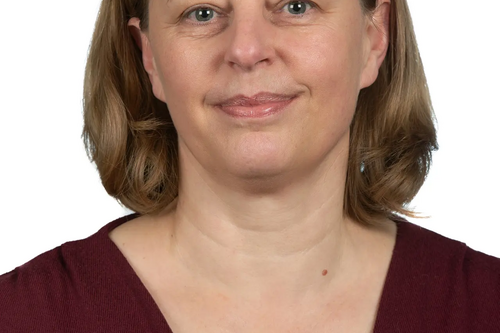 Cllr Hilde Hendrickx