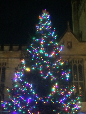 Bedford's Christmas Tree 2019