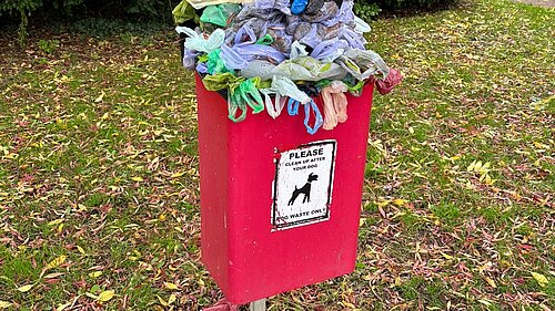 Overflowing dog waste bin in De Parys ward