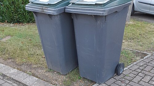 Green bins outside house