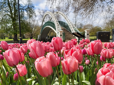 The Embankment in Bloom - April 2023