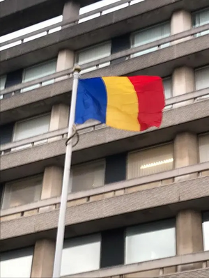 Romania Flag